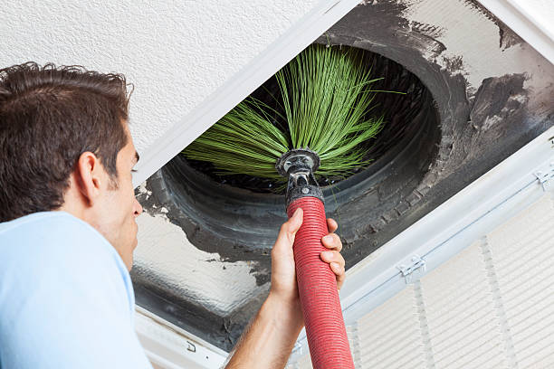 Best Air Duct Mold Removal  in Pojoaque, NM